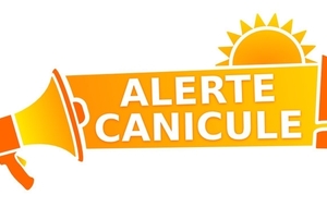 Sport et canicule