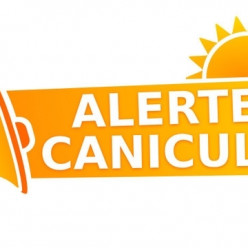 Sport et canicule